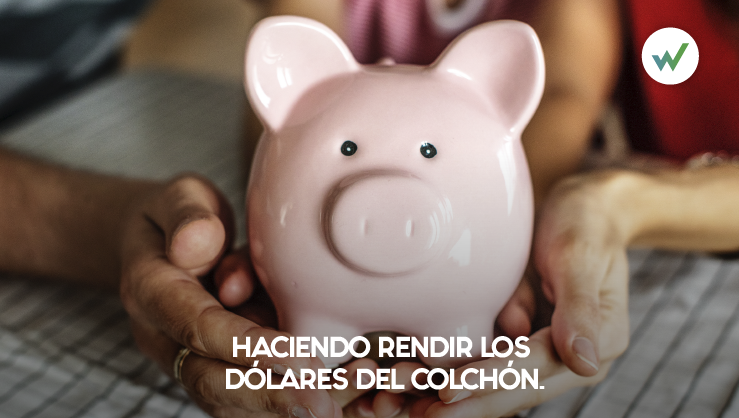 RendirDolares