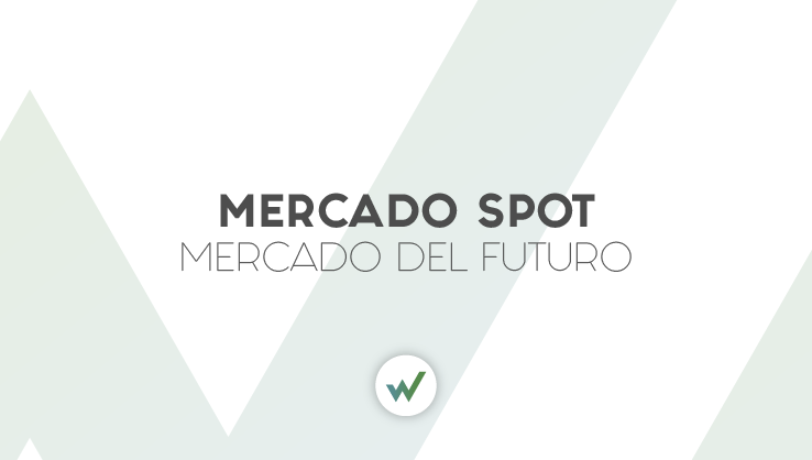 MercadoSpot-13